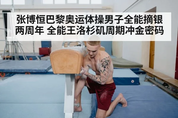 张博恒巴黎奥运体操男子全能摘银两周年 全能王洛杉矶周期冲金密码